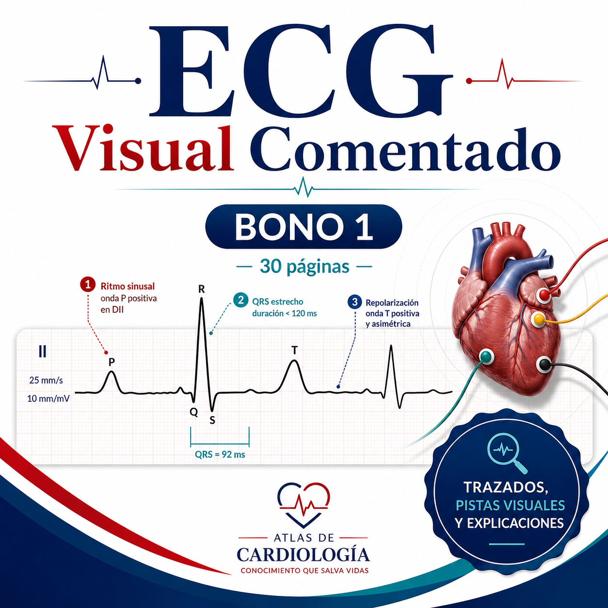 ECG Visual